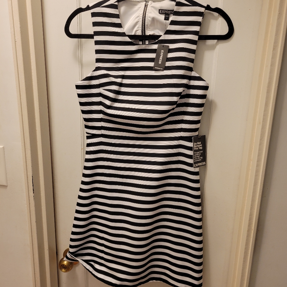 Express Stripped Sleeveless dress